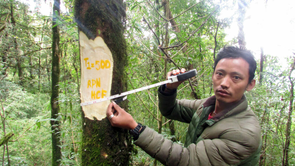 Forest Guardian aan het monitoren