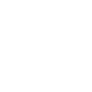 Icoon Leefwijze - Wit