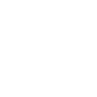 Icoon Levensduur - Wit