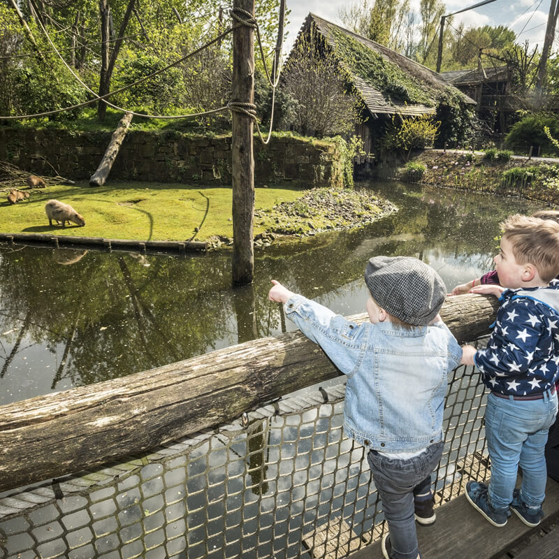 kinderfeestje bij capibara in GaiaZOO