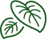 Logo Rainforest gebied in GaiaZOO