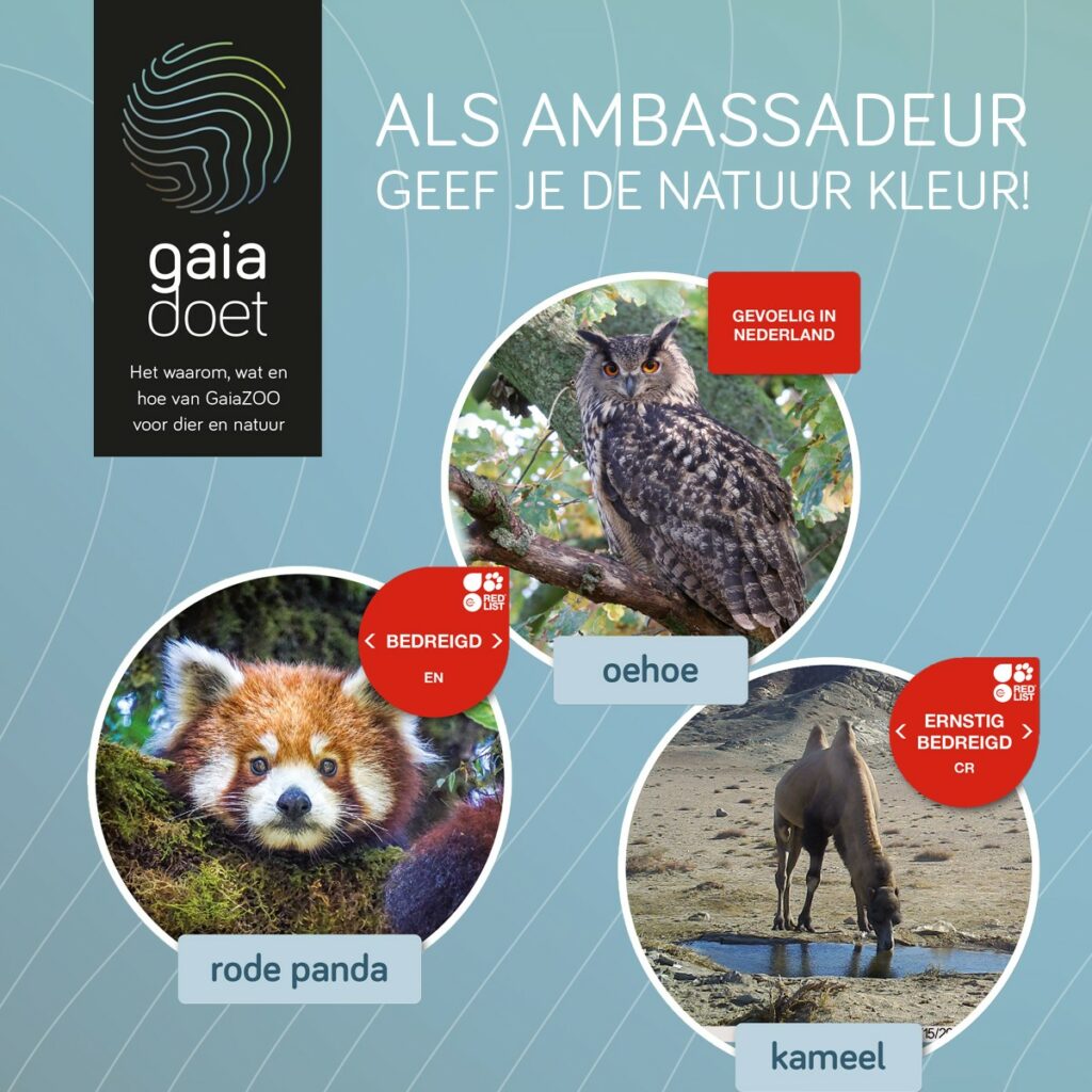 Als Botschafterin oder Botschafter geben Sie der Natur Farbe!