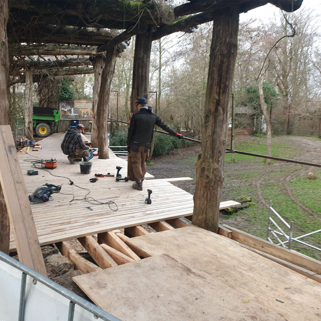 Bouwdagboek vlonder Afrikaanse wilde honden 2023