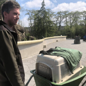 Van Blijdorp naar GaiaZOO