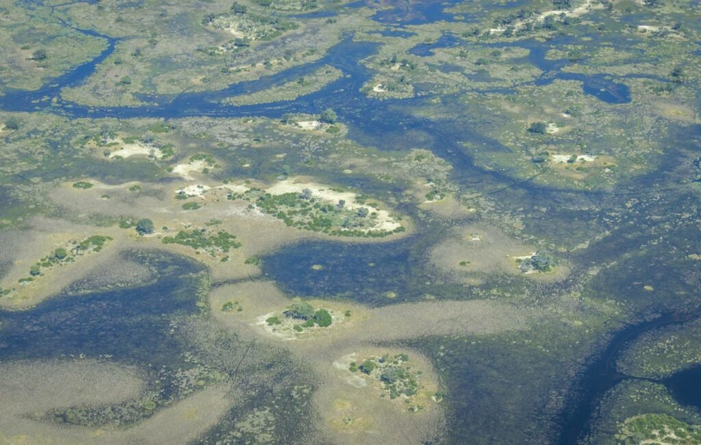 Habitat