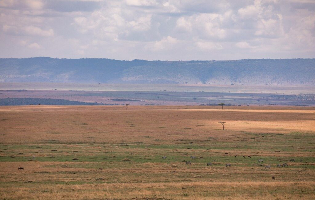 Habitat