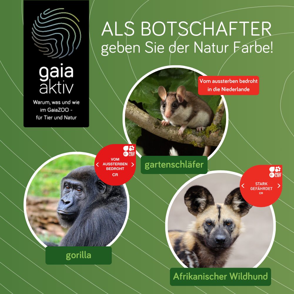 Werden Sie Botschafter der Natur