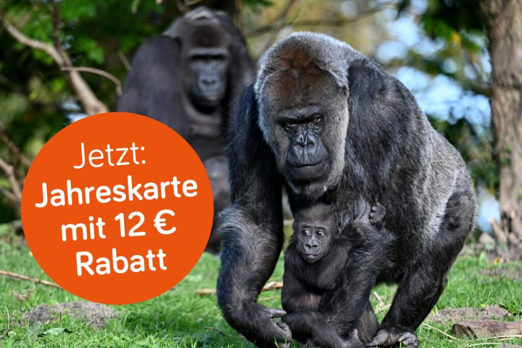 Wir freuen uns darauf, Sie nächstes Jahr wieder im GaiaZOO zu sehen