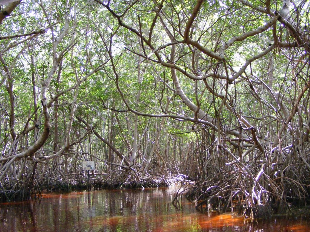 Habitat
