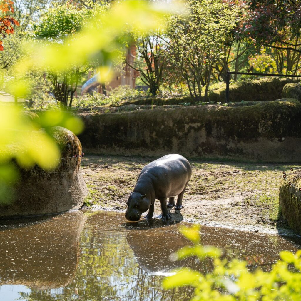 Zwanzig Jahre Naturschutz