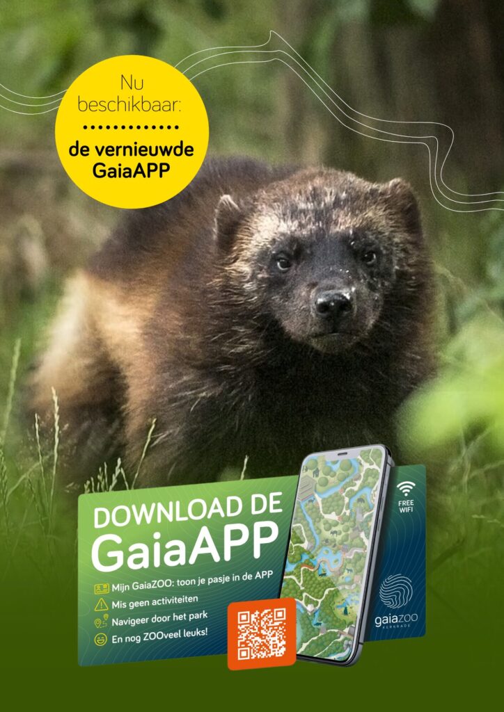Download nu