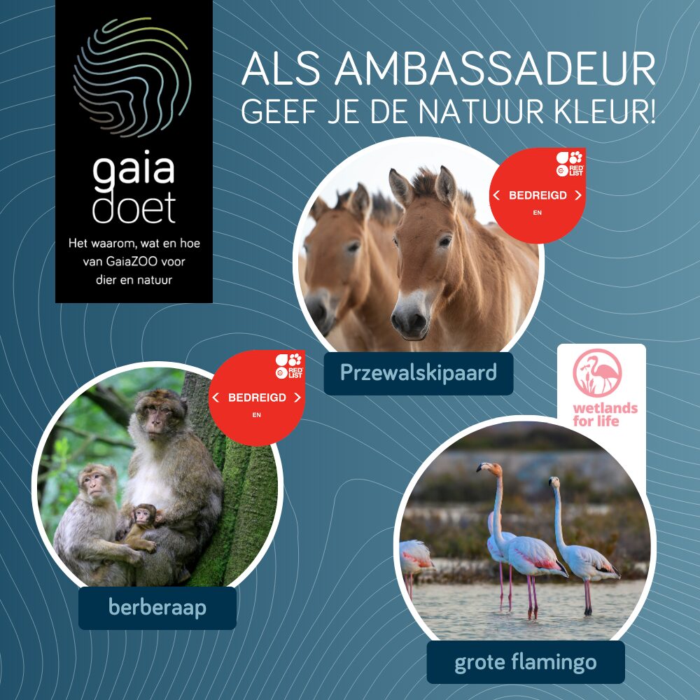 Als ambassadeur geef je de natuur kleur!