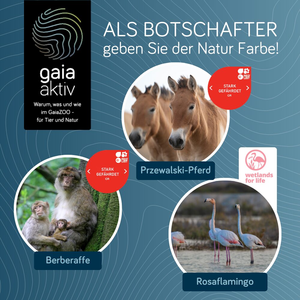 Als Botschafter geben Sie der Natur Farbe!