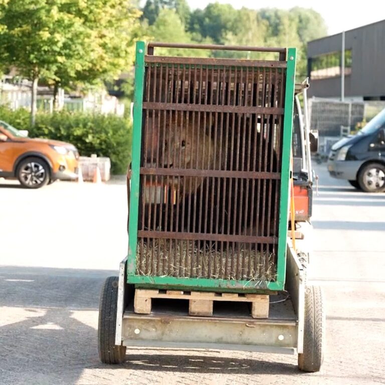 Aankomst in GaiaZOO

